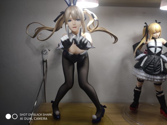 玛丽罗斯兔女郎