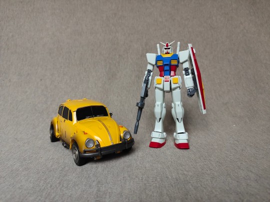 大大大大……大黄蜂