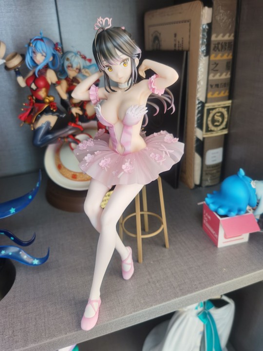 フラミンゴバレエ団 ポニーテールの子