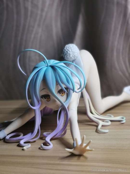 不喜兔女郎但喜大白腿-续续