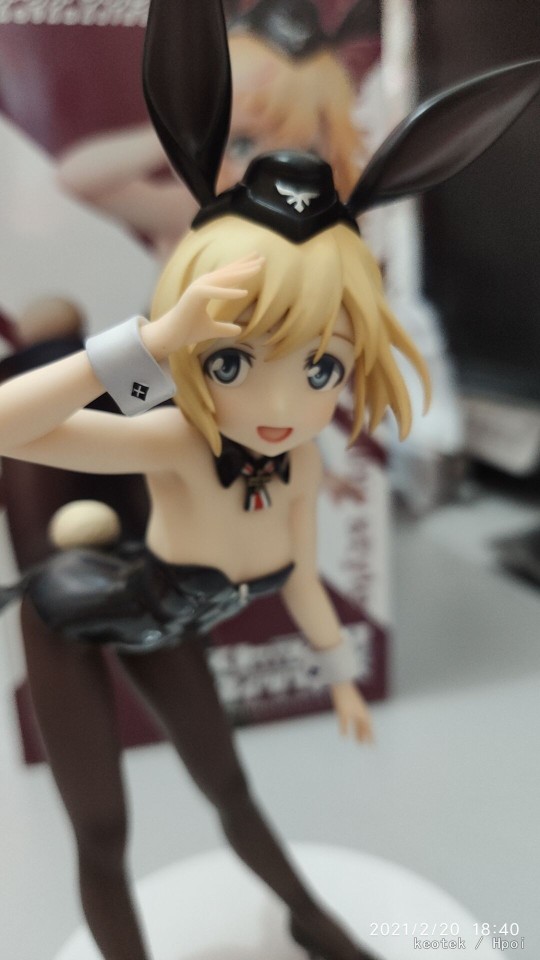 艾莉卡·哈特曼 黑兔女郎