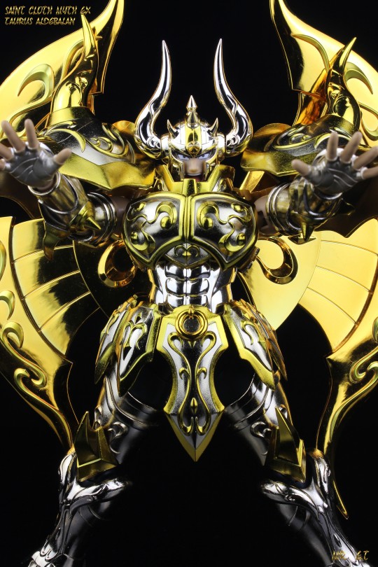 金牛座-阿鲁迪巴