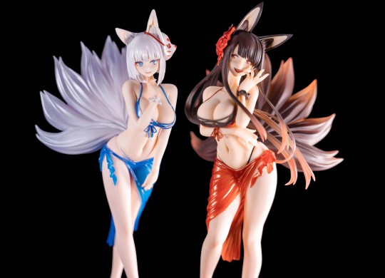 wave 泳装赤城 加贺