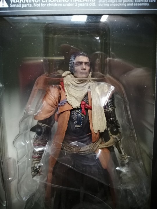 头前引的朦胧头颅