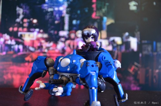 世界第一可爱的母猩猩和她的小伙伴