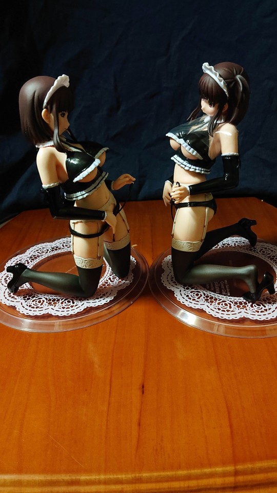 Orchid Seed 西川千春