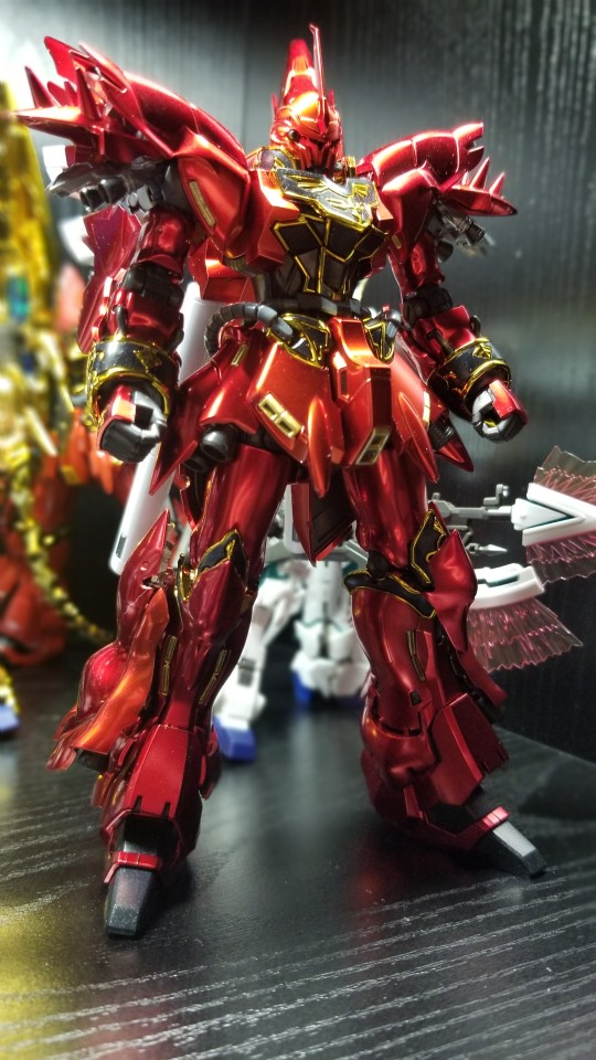 RG 新安洲特殊涂装