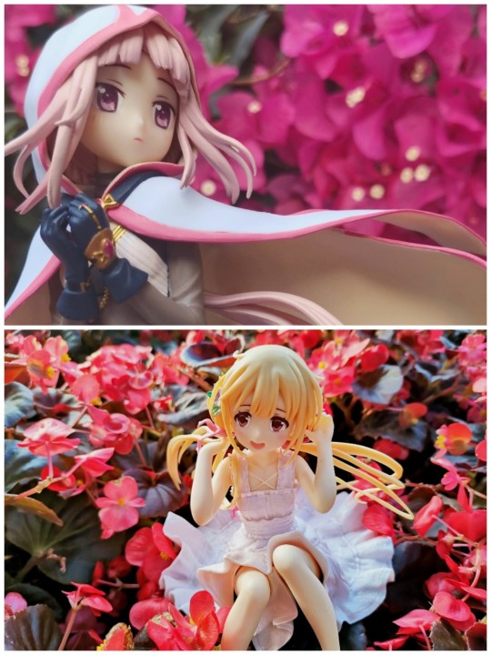 万紫千红总是春