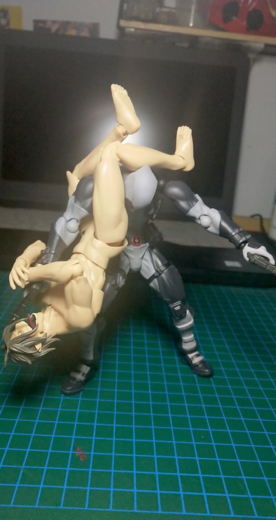 体术（莱纳专享）