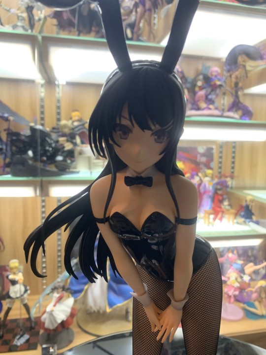 Tony老师收藏之69樱岛麻衣兔女郎