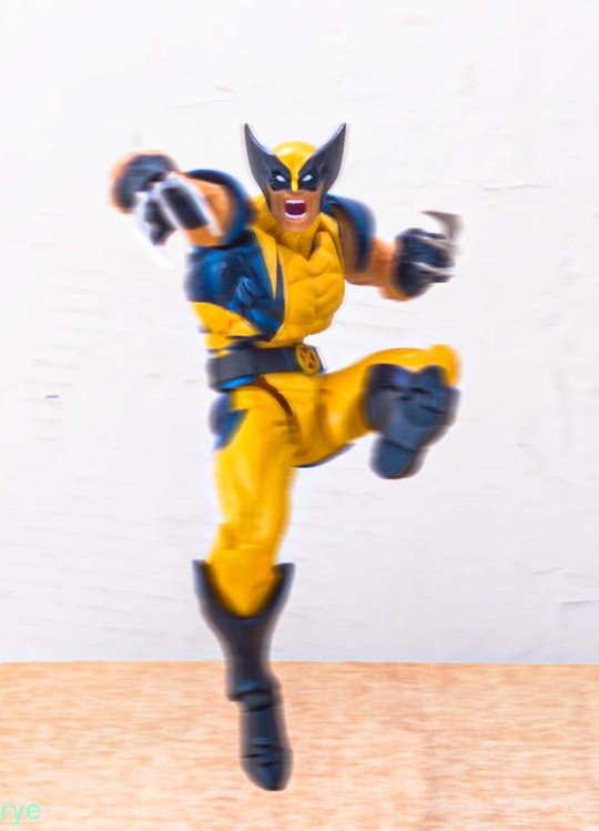 不要抢我的晚饭啊!!!!