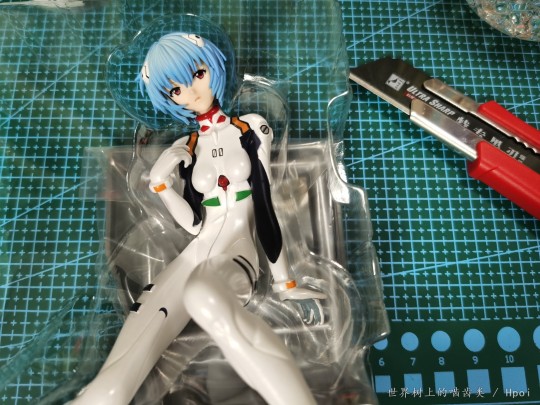 面相很好的绫波丽