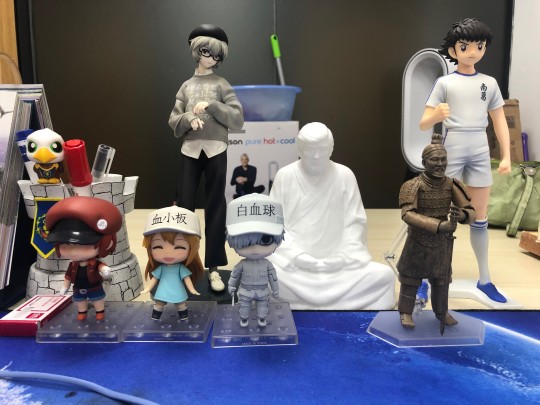 懂王护卫，蒙天放