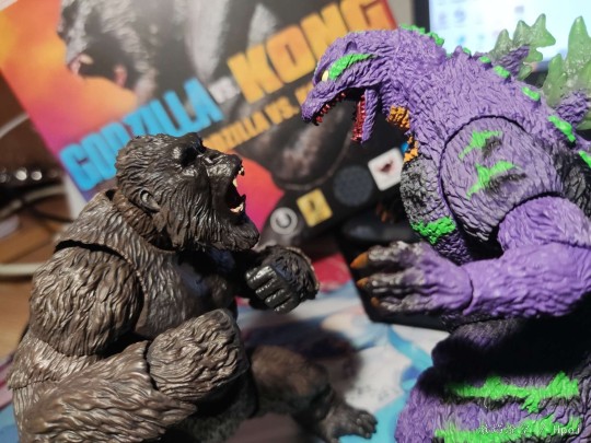 【SHM】金刚 2021