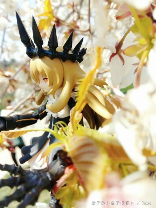 战轮妖精 出灰篝