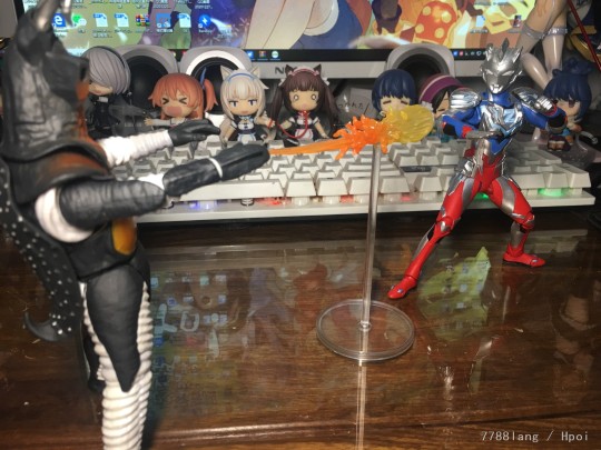 杰顿shf 差个庞顿和伽古拉