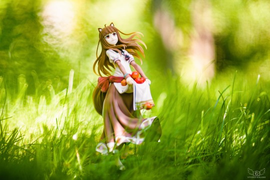 chara-ani 狼与香辛料 赫萝 苹果丰收Ver.