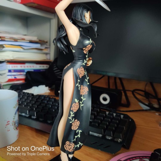 海贼王妮可罗宾