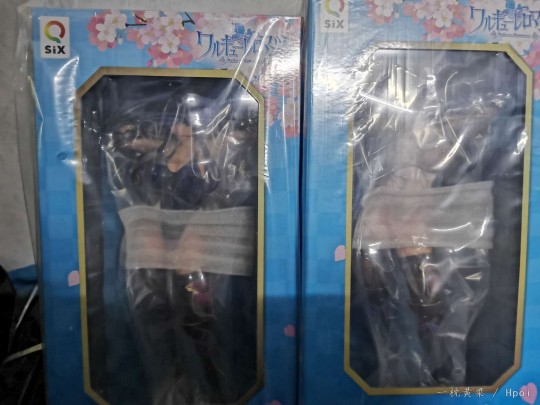 q-six 少女骑士物语 龙造寺茜