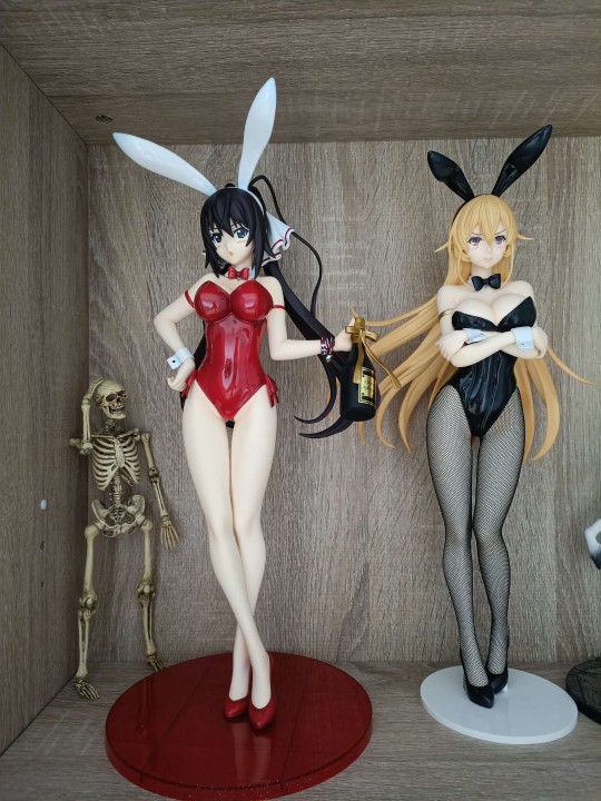 光腿的兔子针不戳