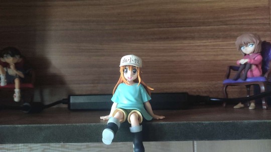 世嘉血小板景品