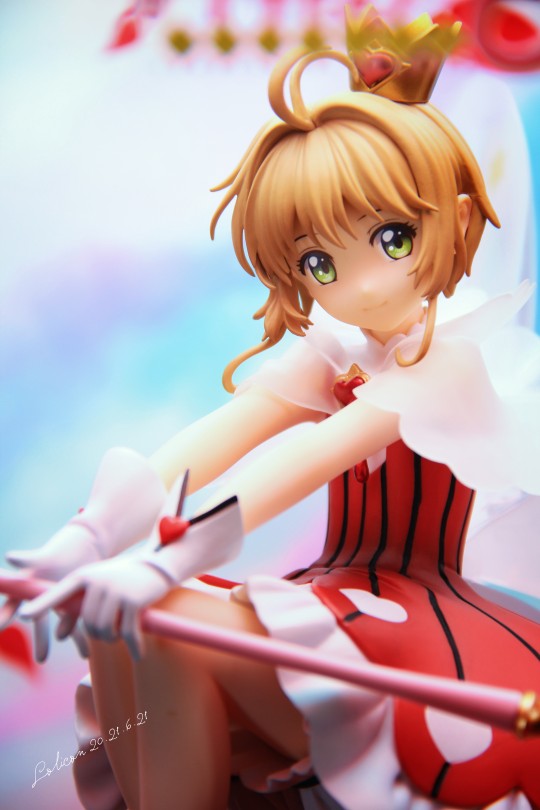 双翼社  玫瑰 樱