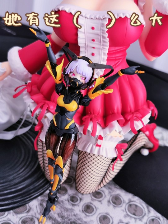 大大大大大兔子🐰