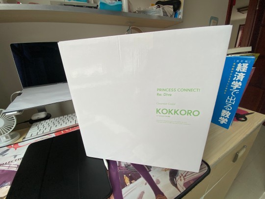 可可萝-外盒展示