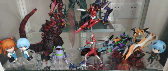 庵也宇宙新成员+1