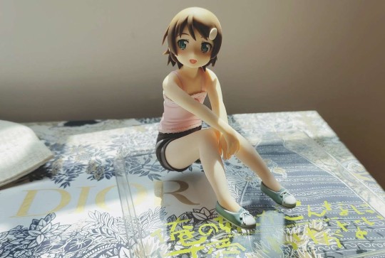 高坂桐乃小学生