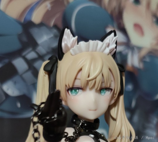 岛田文金NORA到货