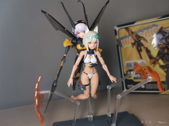 嗡酱第一次带水狼飞