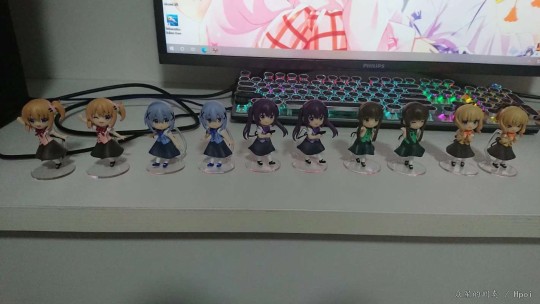 最后还是普通版限定版都入了