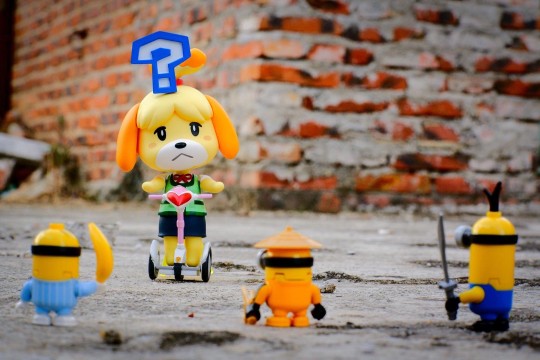 西施惠大战小黄人