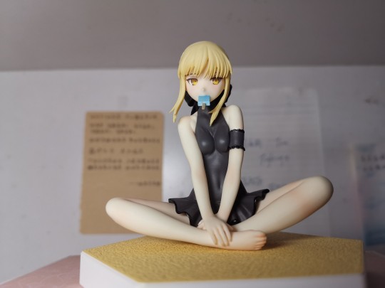 沙滩女王 阿尔托莉雅 出物留念