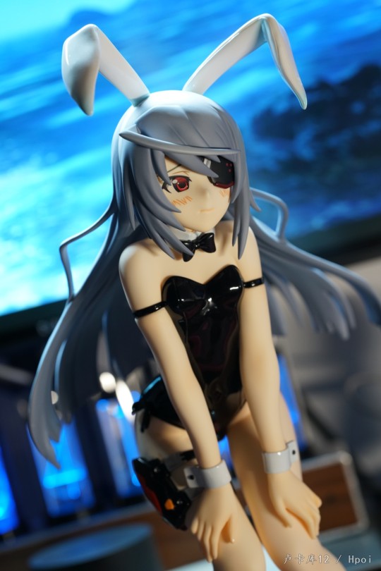 Freeing IS 德国妹