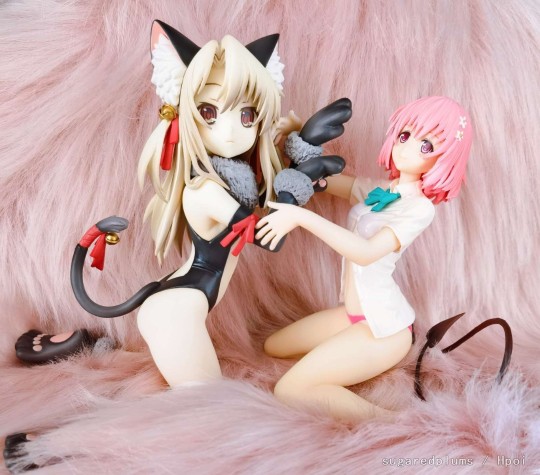 被毛毛吞噬的猫猫