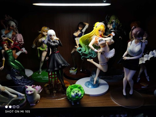 开盒暴击的白木崎恭子