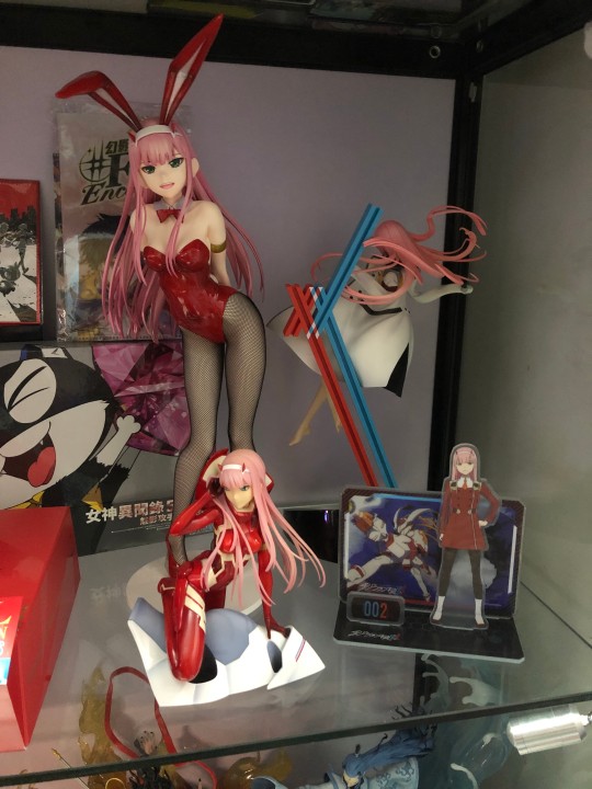 你就是，那时候拿着画册的女孩子吧