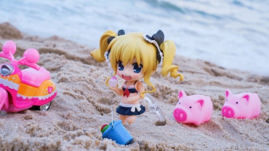 被猪猪追了，快跑！