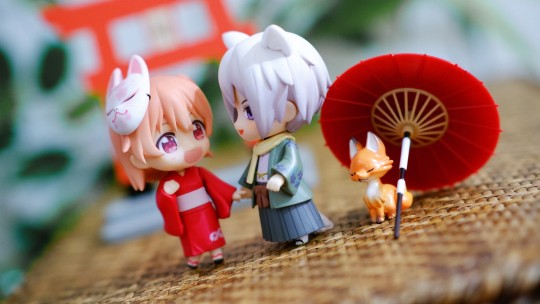 我可是有一只叫做巴卫的非他不嫁的狐狸。 ​