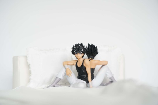 趁主人不在家，偷偷上床的两只飞影