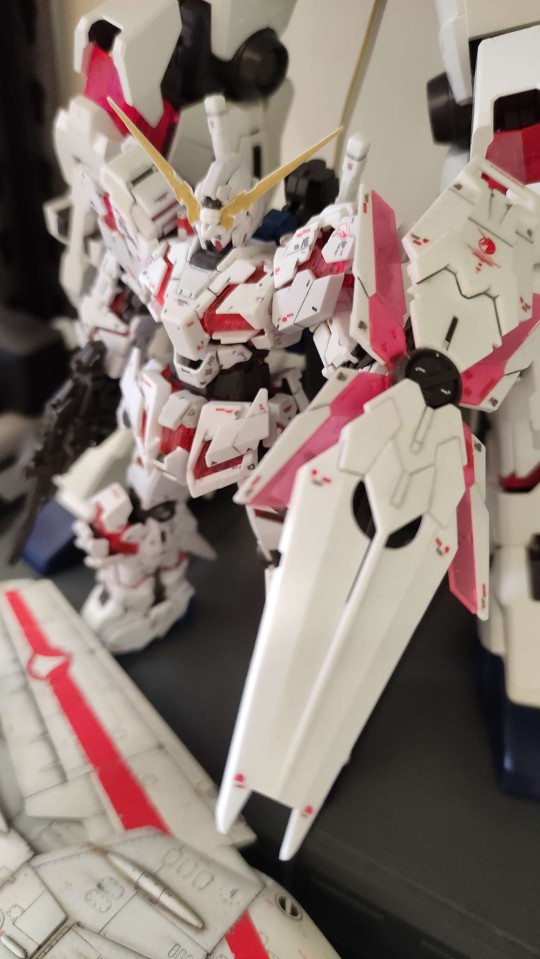 RG Unicorn