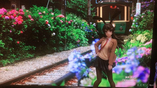 2k出场景樱岛麻衣