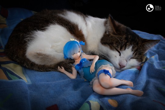 BANDAI SPIRITS Re:0 蕾姆 Madorami ver.