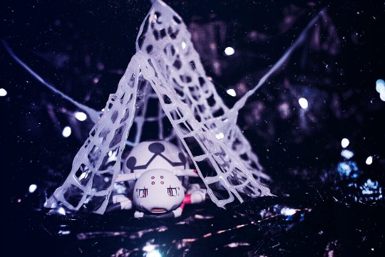 【室内组】可爱的蜘蛛子有家啦！