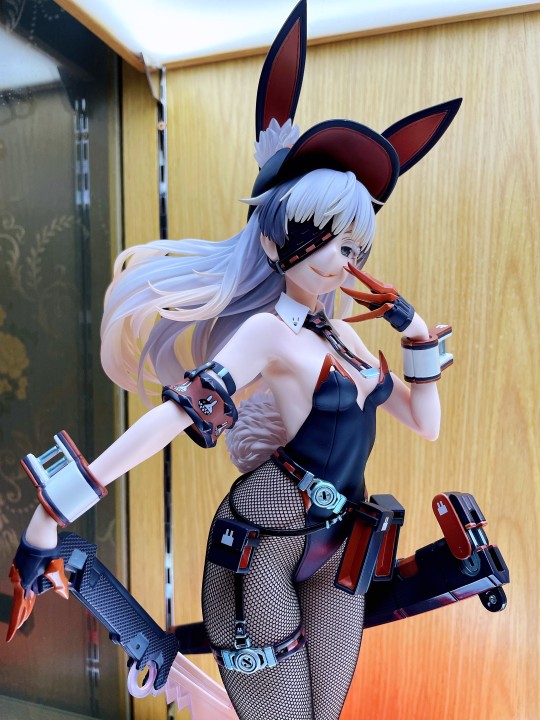 第一只兔子到手ovo