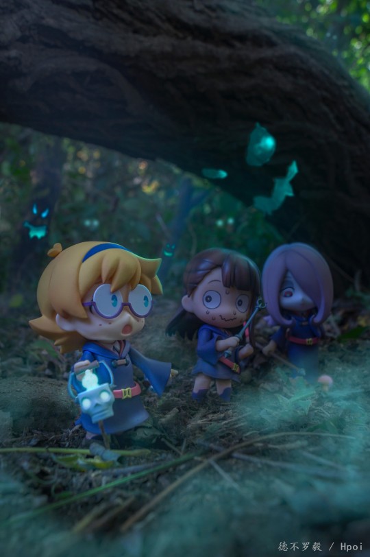 【室外组】魔女森林