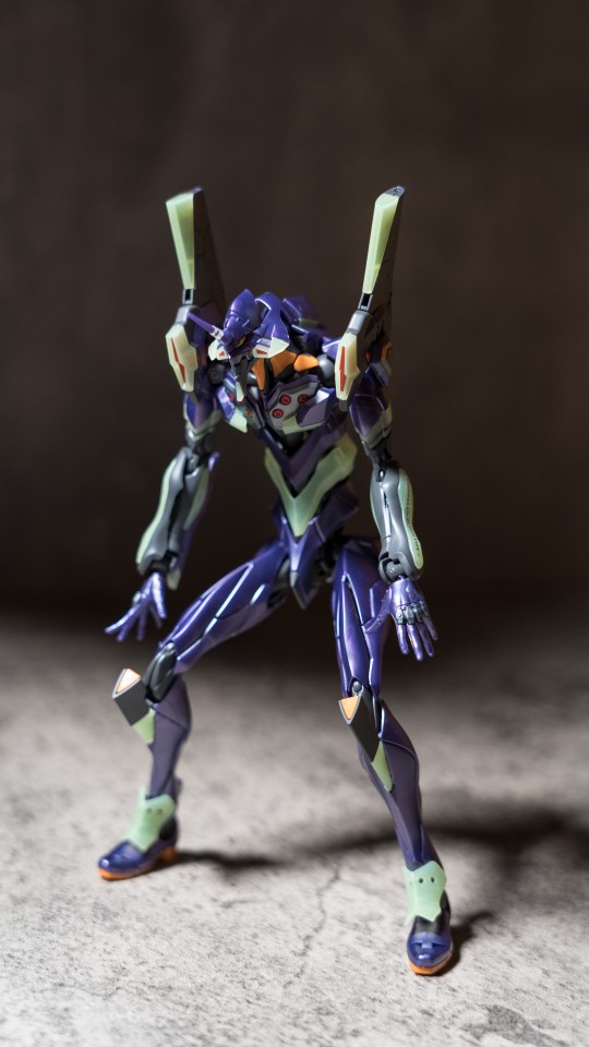 EVA万代rg御三家，和三套黑胶