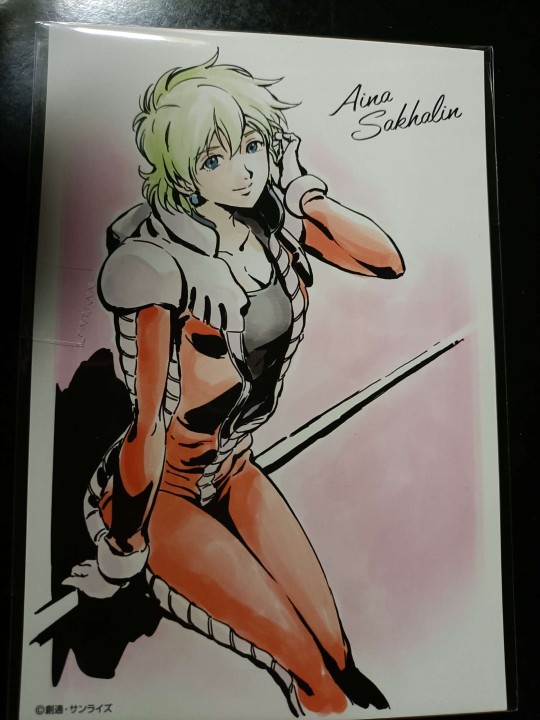 megahouse 爱娜萨哈林